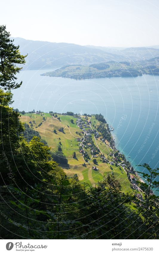 Blick vom Bürgenstock auf Kehrsiten (CH) Umwelt Natur Landschaft Sommer Schönes Wetter See natürlich Tourismus bürgenstock kehrsiten Schweiz Vierwaldstätter See