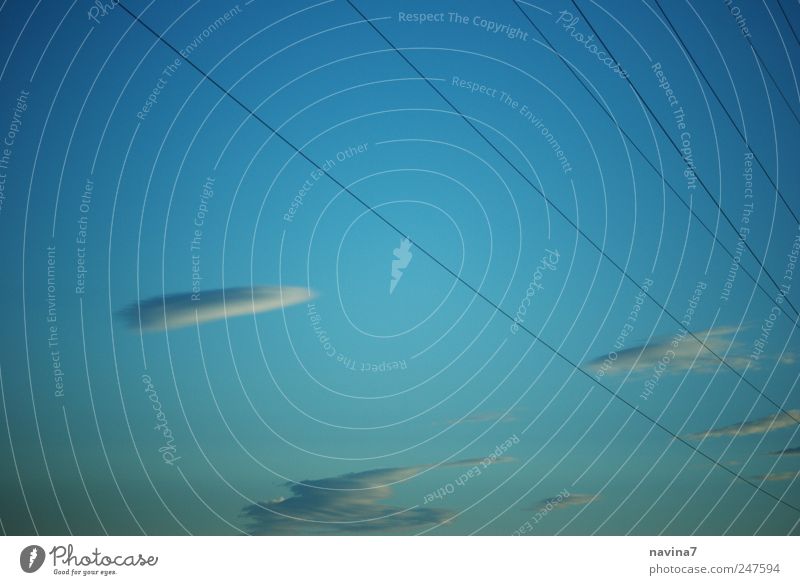 Himmelsleitungen Leitung Kabel nur Himmel Wolken Schönes Wetter blau ruhig Energiewirtschaft Farbfoto Außenaufnahme Menschenleer Abend