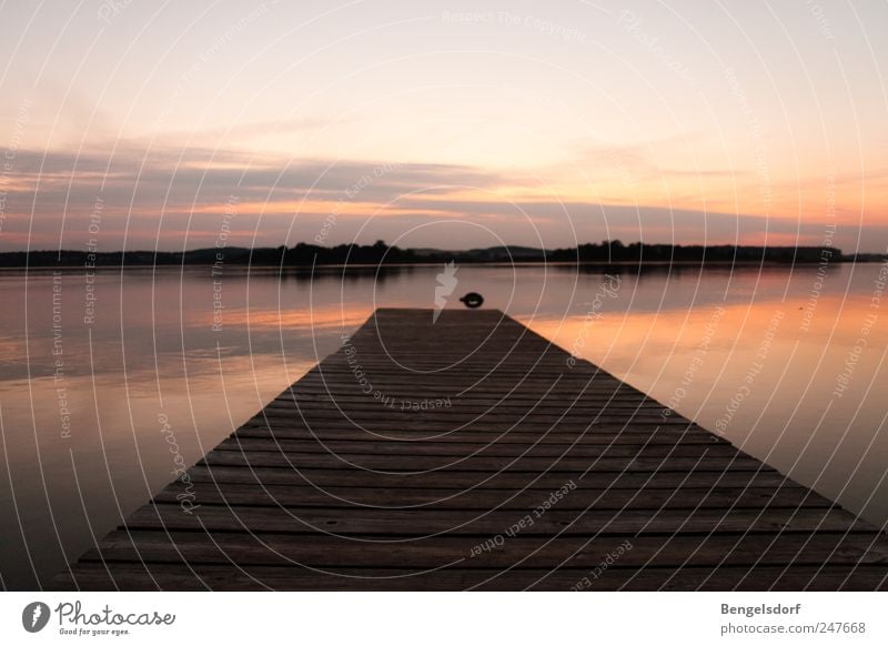 still ruht harmonisch Ferien & Urlaub & Reisen Tourismus Ausflug Ferne Freiheit Sommer Natur Wasser Himmel Wolken Sonnenaufgang Sonnenuntergang Seeufer