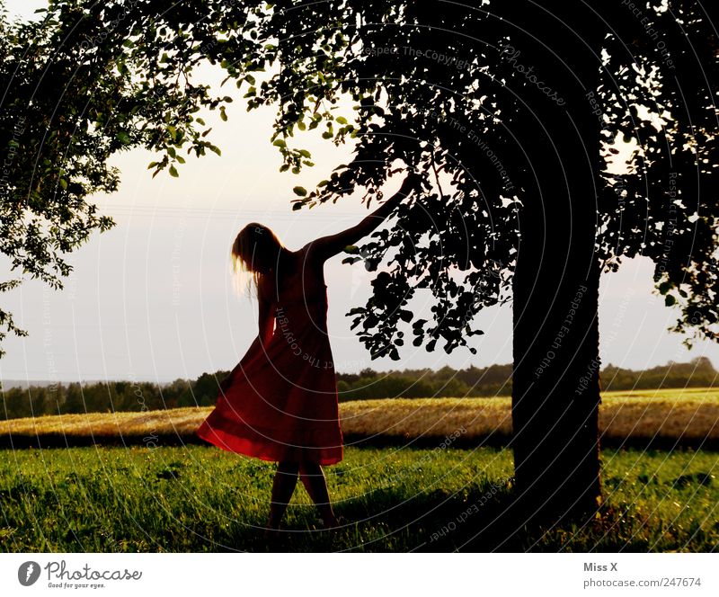 Gestatten / Damenwahl elegant Stil ruhig Sommer Mensch feminin Junge Frau Jugendliche 1 18-30 Jahre Erwachsene Landschaft Sonnenaufgang Sonnenuntergang