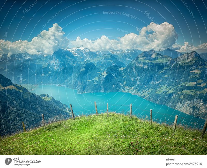 Blick vom Stoos auf den Vierwaldstättersee Ferien & Urlaub & Reisen Ausflug Abenteuer Ferne Sommer Berge u. Gebirge wandern Umwelt Natur Landschaft Pflanze Tier