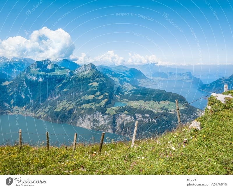 Blick vom Stoos auf den Vierwaldstättersee wandern Umwelt Natur Landschaft Pflanze Tier Urelemente Erde Himmel Wolken Sommer Klima Schönes Wetter Baum Gras