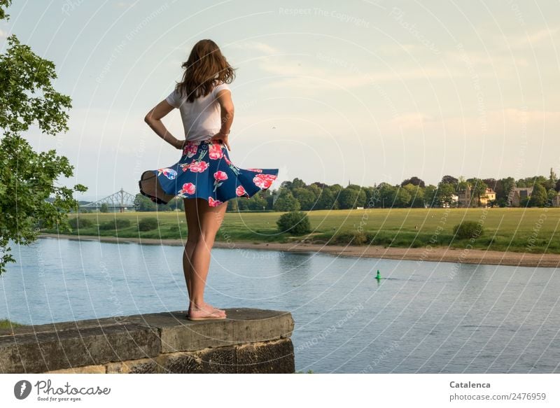 Blaue Wunder II, junge Frau an der Elbe feminin Junge Frau Jugendliche 1 Mensch Landschaft Himmel Wolken Sommer Schönes Wetter Baum Gras Wiese Flussufer Haus