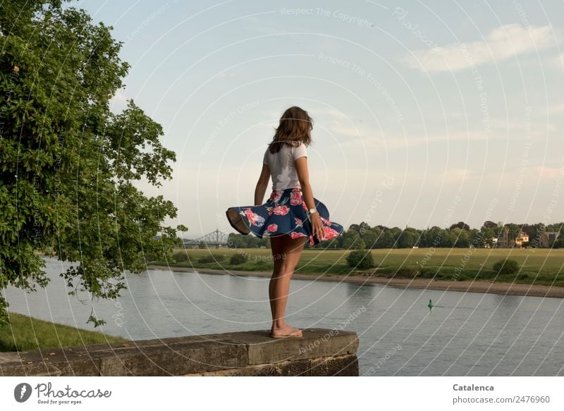 Das blaue Wunder, junge Frau an der Elbe feminin Junge Frau Jugendliche 1 Mensch Landschaft Himmel Wolken Horizont Sommer Schönes Wetter Baum Gras Wiese