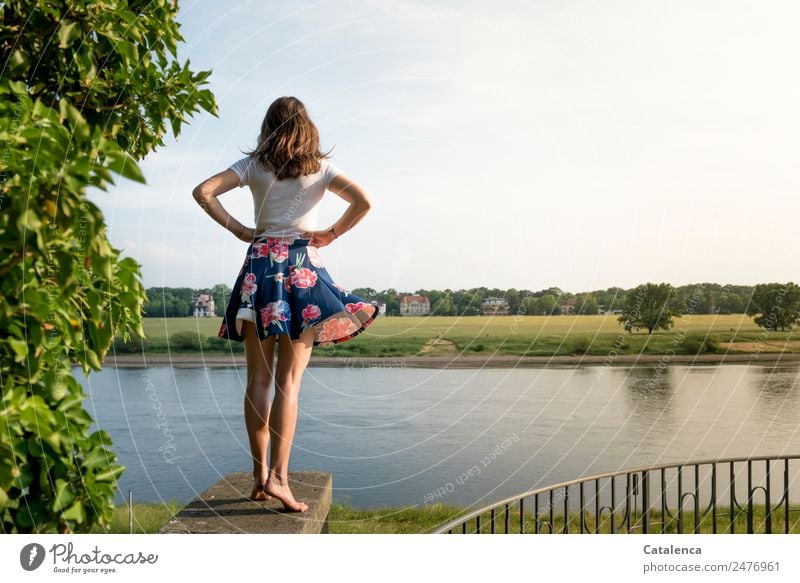 An der Elbe V,junge Frau an der Elbe feminin Junge Frau Jugendliche 1 Mensch Landschaft Himmel Wolken Sommer Schönes Wetter Baum Gras Wiese Flussufer Haus