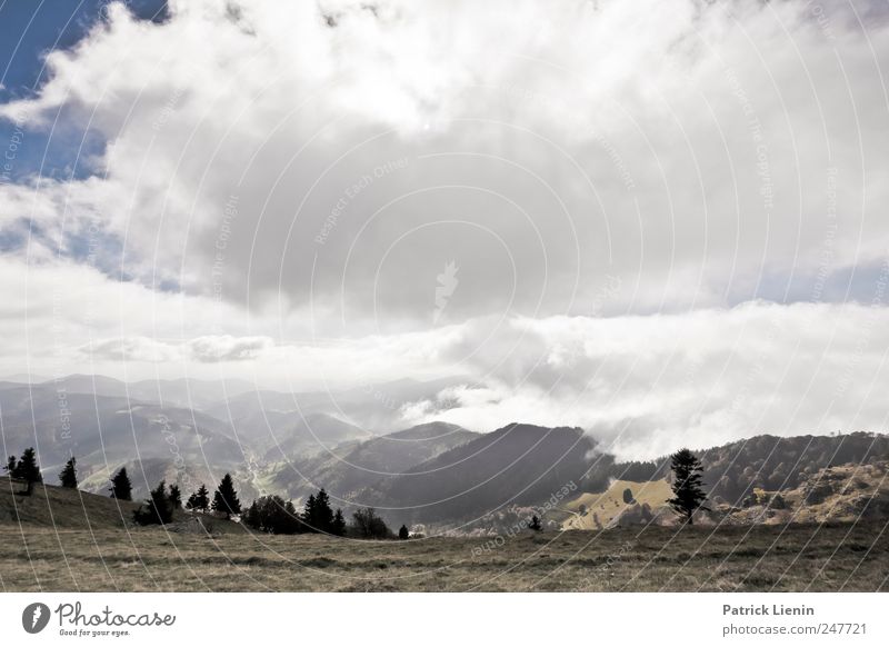 Herbstwandern Freizeit & Hobby Ferien & Urlaub & Reisen Tourismus Ausflug Ferne Freiheit Berge u. Gebirge Umwelt Natur Landschaft Pflanze Urelemente Himmel