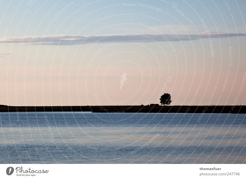 Hochsommerabend in pastell Ferien & Urlaub & Reisen Sommer Meer Insel Natur Landschaft Erde Luft Wasser Himmel Horizont Sonnenaufgang Sonnenuntergang