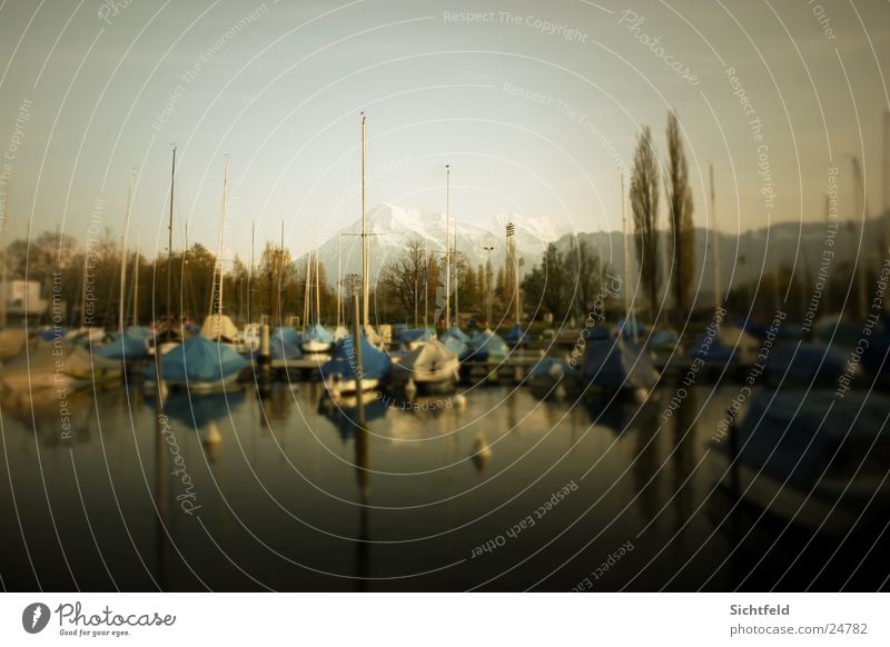 Marina 01 Thun See springen Schweiz Wasserfahrzeug Baum Licht Berge u. Gebirge Alpen Thuner See Abend Wind Natur Himmel blau