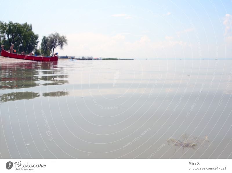 Kanu Ferien & Urlaub & Reisen Tourismus Sommer Sommerurlaub Strand Meer Schwimmen & Baden Natur Landschaft Wasser Himmel Schönes Wetter Küste Seeufer Bucht