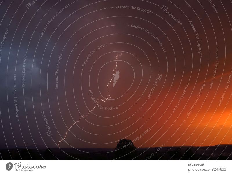 Gewittersturm Natur Erde Luft Himmel Gewitterwolken Sommer Wetter schlechtes Wetter Wind Sturm Regen Blitze Farbfoto Außenaufnahme Tag Licht Sonnenlicht