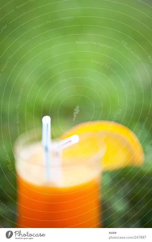 Cocktail Orange Getränk Erfrischungsgetränk Longdrink Trinkhalm Sommer Wiese leuchten lecker süß grün Orangenscheibe Sommerdrink sommerlich fruchtig Farbfoto