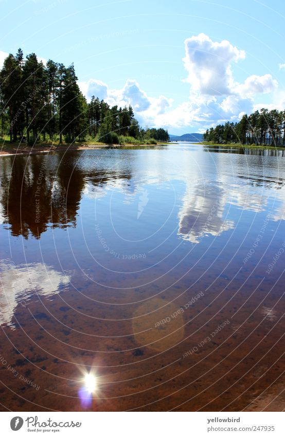 Die Sonne. Ferien & Urlaub & Reisen Ausflug Sommer Sommerurlaub Meer Natur Landschaft Wasser Himmel Wolken Sonnenlicht Schönes Wetter Küste Seeufer blau grün