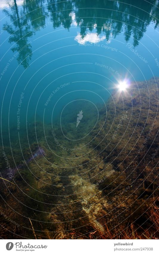 Die Sonne #2 Sommer Sommerurlaub Meer Natur Landschaft Wasser Sonnenlicht Schönes Wetter Baum Wald Teich See exotisch blau Farbfoto Außenaufnahme Menschenleer