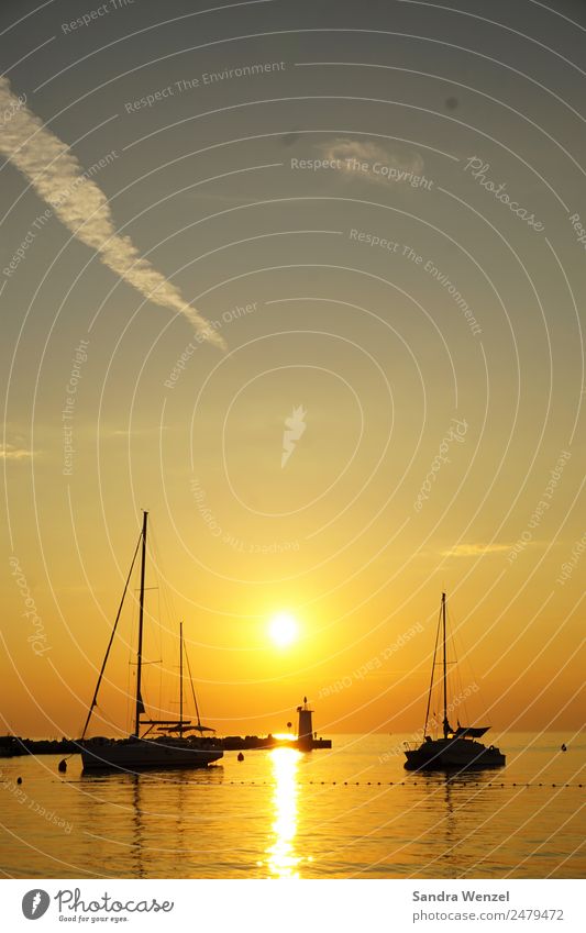 Novigrad, Istrien Schwimmen & Baden Ferien & Urlaub & Reisen Abenteuer Ferne Freiheit Sommer Sommerurlaub Sonne Strand Wolkenloser Himmel Horizont Sonnenaufgang