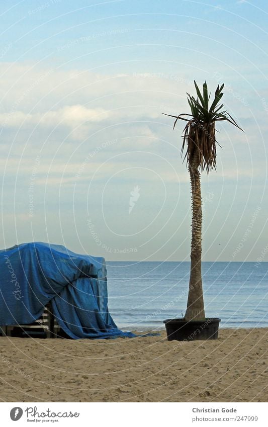 Feierabend harmonisch Wohlgefühl Zufriedenheit Erholung ruhig Meditation Ferien & Urlaub & Reisen Tourismus Ausflug Ferne Freiheit Kreuzfahrt Sommer