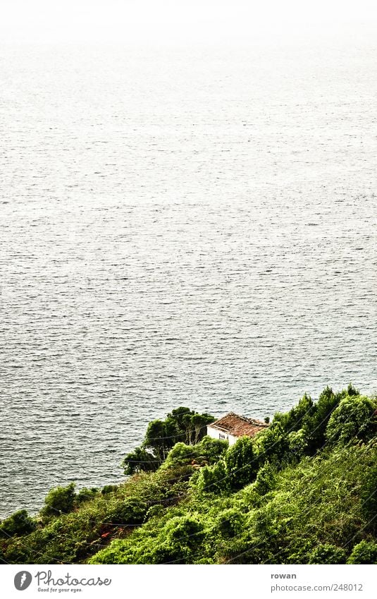 mit aussicht Natur Landschaft Baum Gras Sträucher Wellen Küste Seeufer Haus Einfamilienhaus Traumhaus Hütte Bauwerk Gebäude Erholung Häusliches Leben Einsamkeit