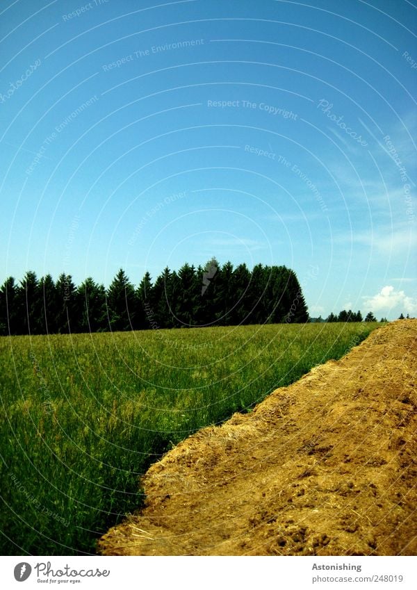 Astonishing landscape Umwelt Natur Landschaft Pflanze Luft Himmel Wolken Sommer Wetter Schönes Wetter Baum Gras Wiese Wald blau braun gelb grün Misthaufen Linie