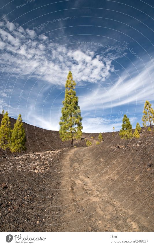 angepasst Umwelt Landschaft Urelemente Himmel Wolken Baum Wege & Pfade Stein außergewöhnlich Vulkankrater Farbfoto Menschenleer Textfreiraum oben