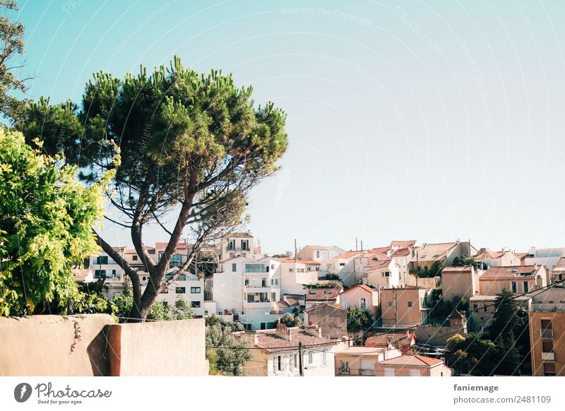 Marseille 7ème Stadtzentrum Haus Mauer Wand heiß Stadtteil Pinie Baum Licht & Schatten mediterran türkis grün Wärme Sonnenstrahlen Mittelmeer Urlaubsfoto