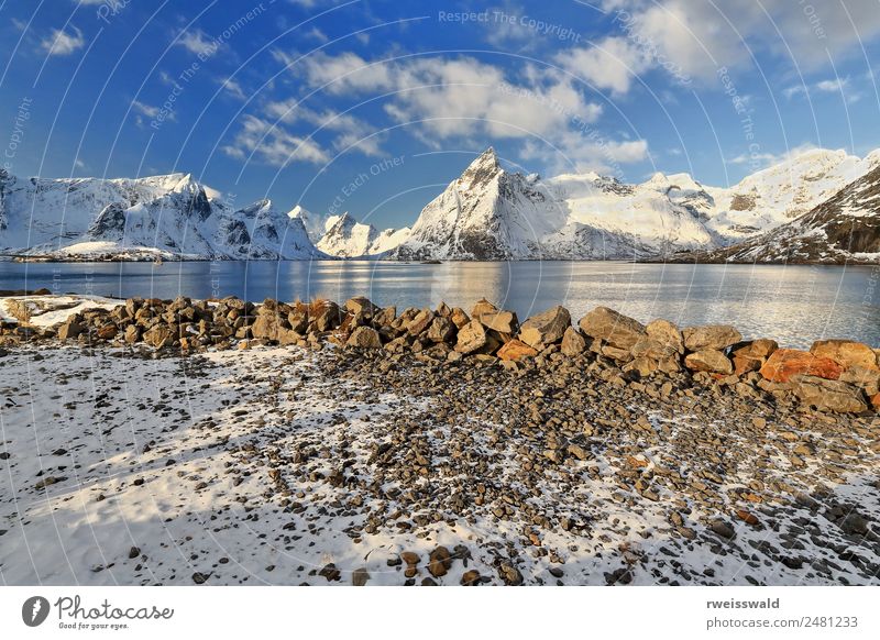 Montagen mit Blick auf den Rorbuer-Bereich. Hamnoy-Rein-Lofoten-Norwegen-0246 Fisch Meeresfrüchte Erholung ruhig Angeln Ferien & Urlaub & Reisen Tourismus