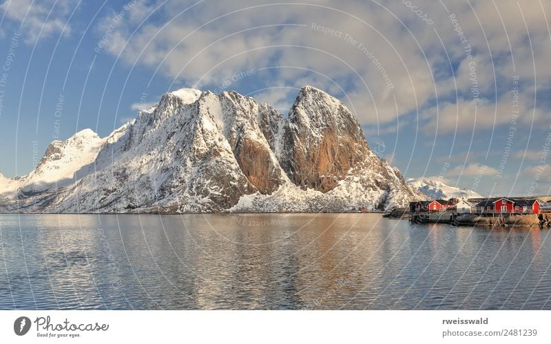 Hamnoy Dorf-Festhaeltinden Berg. Reine-Lofoten-Norwegen-0262 Fisch Meeresfrüchte ruhig Angeln Ferien & Urlaub & Reisen Tourismus Ausflug Abenteuer Sightseeing