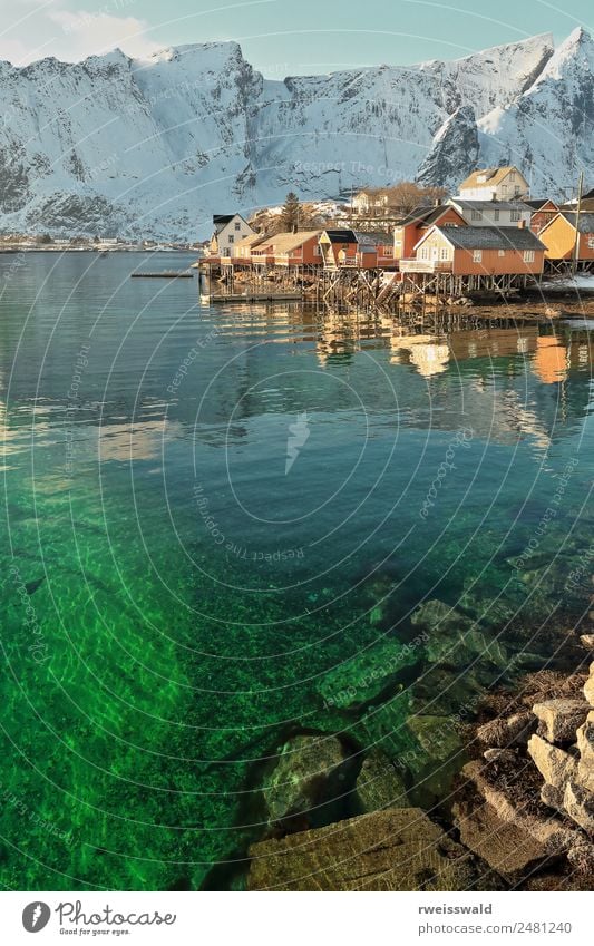 Sakrisoya rorbuer von Olenilsoy aus gesehen. Reine-Lofoten-Norwegen-0264 Fisch Meeresfrüchte harmonisch Erholung ruhig Angeln Ferien & Urlaub & Reisen Tourismus