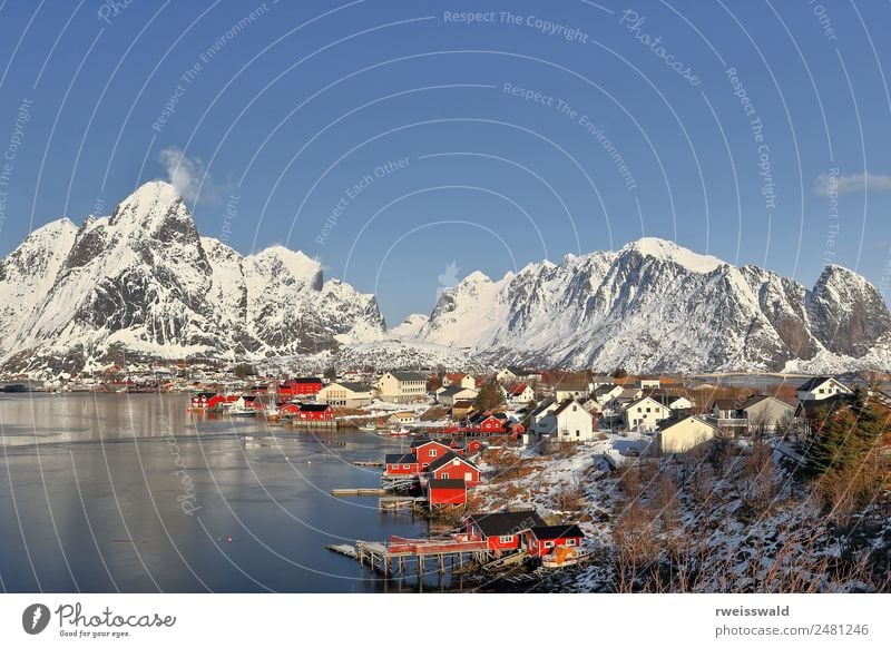 Reinevagen gulf-mts.over Reinefjorden. Reine-Lofoten-Norwegen-0283 Fisch Meeresfrüchte ruhig Ferien & Urlaub & Reisen Tourismus Kreuzfahrt Sonne Winter Schnee