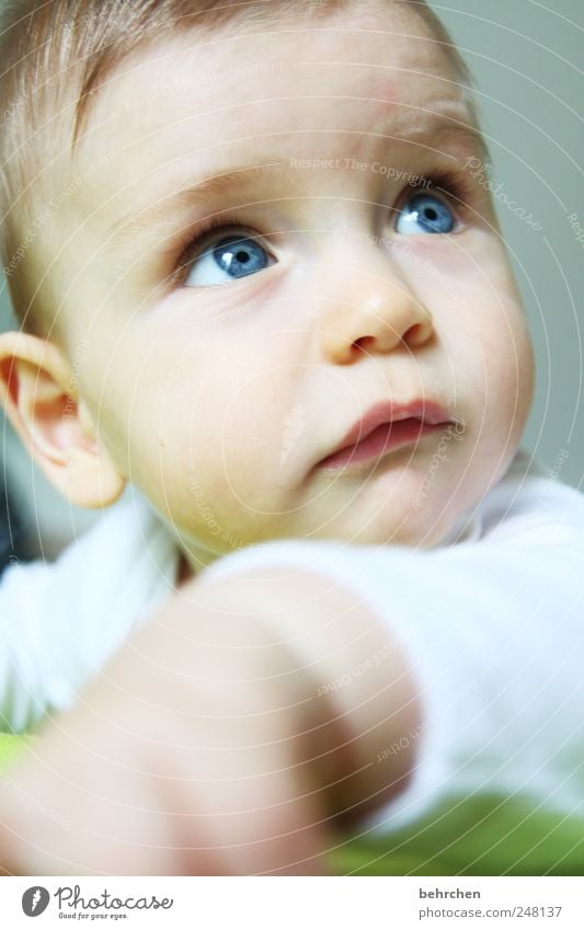 wenn ich meine augen ganz groß mache... Kind Baby Junge Haut Kopf Haare & Frisuren Gesicht Auge Ohr Nase Mund Lippen Hand 1 Mensch 0-12 Monate Glück