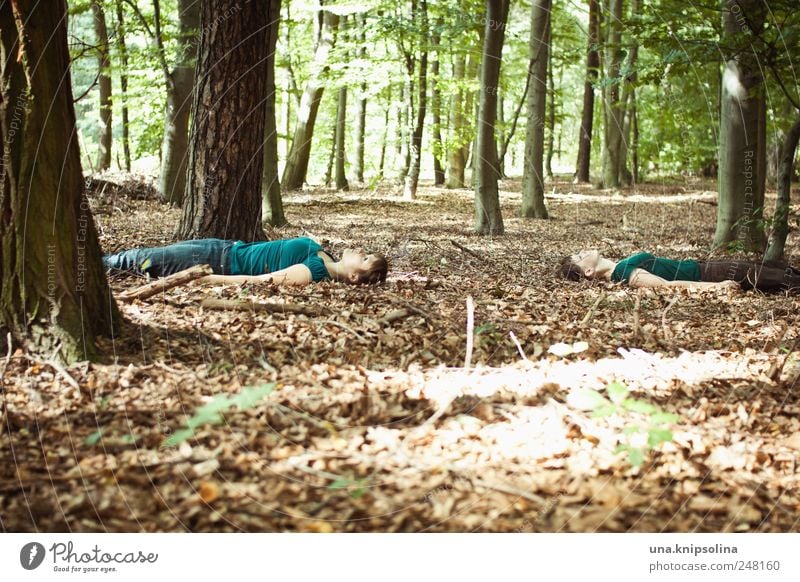 waldyoga Mensch Frau Erwachsene Freundschaft Jugendliche 2 Umwelt Natur Schönes Wetter Wald beobachten Erholung liegen träumen verrückt Gefühle Stimmung