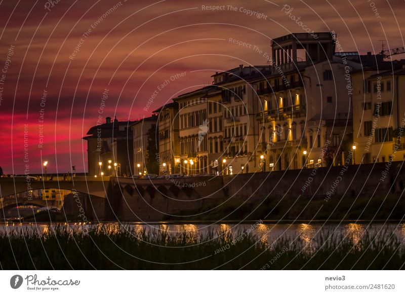 Uferpromenade in Florenz bei Nacht Kultur Altstadt Haus Garten orange rot Fernweh Stadt Stadtzentrum Stadtleben Küste Häuserzeile Blockhaus Brücke Italien