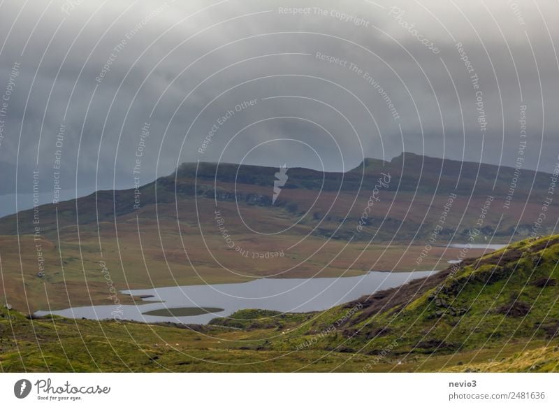 Schottisches Hochland Umwelt Landschaft Klima schlechtes Wetter Gras Wiese Hügel Berge u. Gebirge grün Landschaftsformen Natur Naturschutzgebiet Regen See