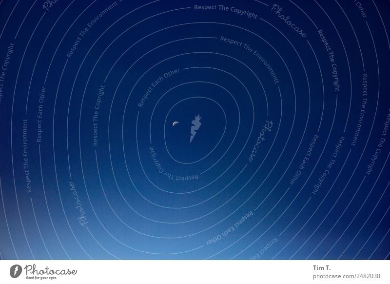 Himmel über Brandenburg Umwelt Natur nur Himmel Wolkenloser Himmel Nachthimmel Horizont Mond Sommer Gefühle Fernweh Einsamkeit Farbfoto Außenaufnahme
