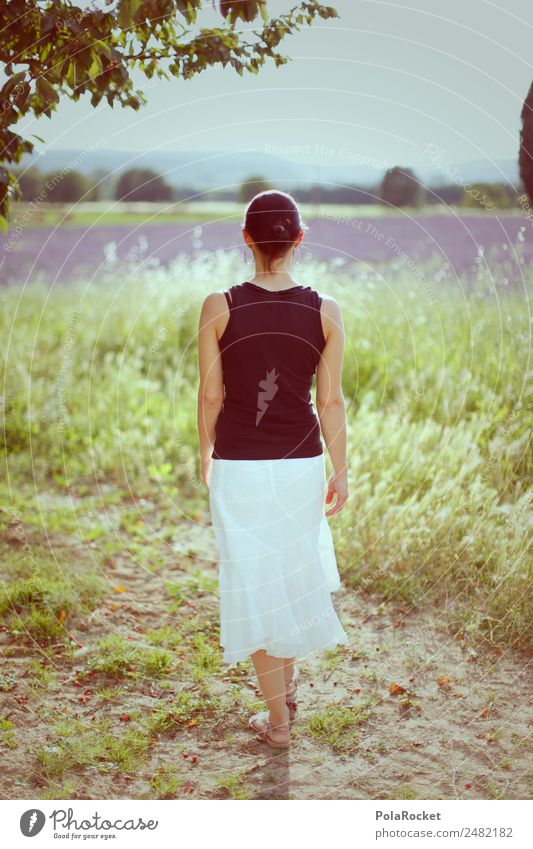 #A# Spaziergang in der Provence 1 Mensch Umwelt Natur ästhetisch Frau Idylle Feld Frankreich violett Lavendel Lavendelfeld Lavendelernte laufen Mode Sommer