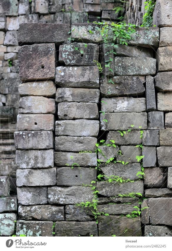 Elefanten Terrasse - Angkor Thom schön Frau Erwachsene Frauenbrust Tänzer Stein Abenteuer Angkor Wat Asien Kambodscha khmer kunst Khmer Antiquität