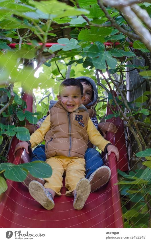 Zwei Brüder haben Spaß Freude Glück Spielen Kind Junge Freundschaft Natur Baum Spielplatz genießen Liebe Fröhlichkeit Zusammensein lustig Bruder abwärts Feige