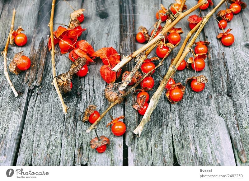 Kleine Tomaten über Holz Lebensmittel Gemüse Frucht Mittagessen Bioprodukte Vegetarische Ernährung Diät Ferien & Urlaub & Reisen Tourismus Ausflug Essen kaufen