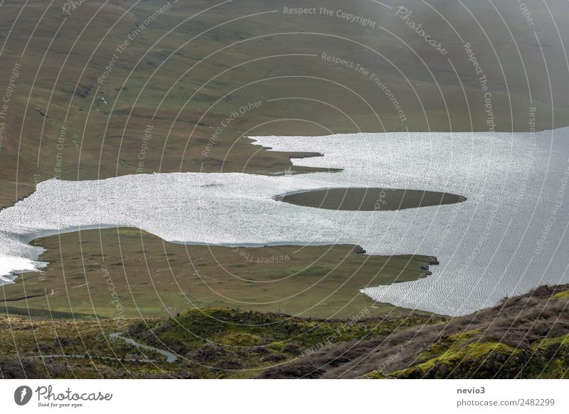 Kleine Insel in der Mitte eines Sees Landschaft schlechtes Wetter Gras Wiese Küste Bucht Meer grün Seeufer trist Ödland Einsamkeit Brachland Wege & Pfade Herbst