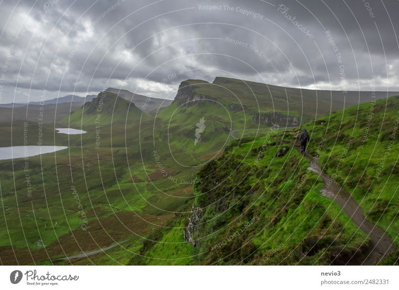 The Quiraing Natur Landschaft Grünpflanze schön grün Bekanntheit Sehenswürdigkeit Reiseroute Ferien & Urlaub & Reisen wandern Wanderpfad Wege & Pfade