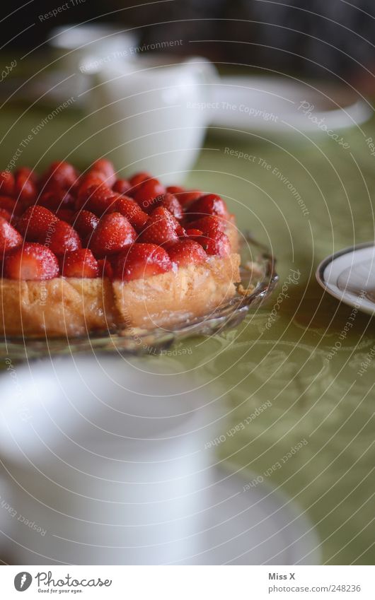 Erdbeerkuchen Lebensmittel Frucht Teigwaren Backwaren Kuchen Ernährung Frühstück Kaffeetrinken Geschirr Teller Tasse Feste & Feiern Muttertag frisch lecker