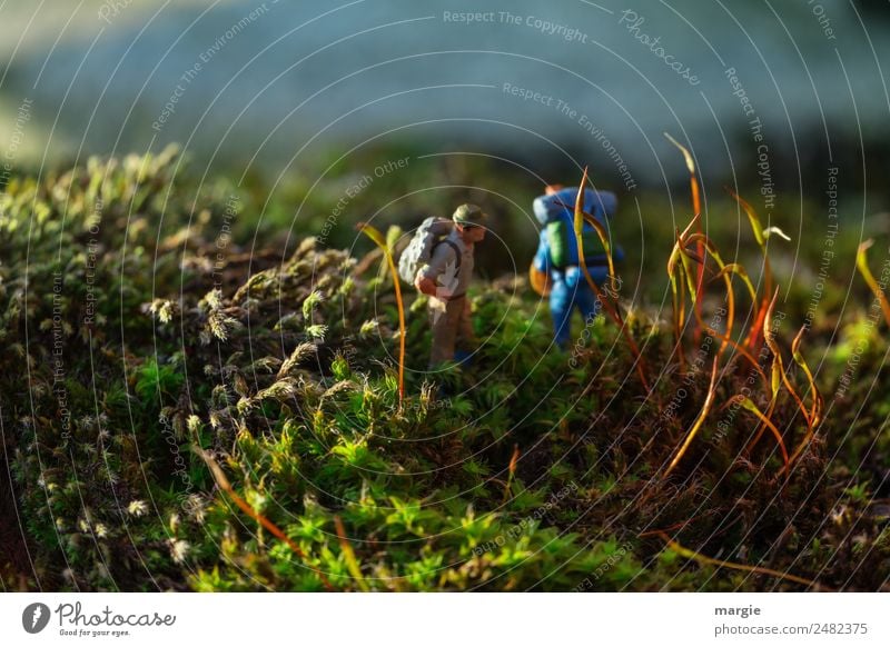 Isolation | ...verlaufen Freizeit & Hobby Mensch maskulin Mann Erwachsene 2 Umwelt Natur Landschaft Pflanze Tier Schönes Wetter Gras Moos Blatt Grünpflanze