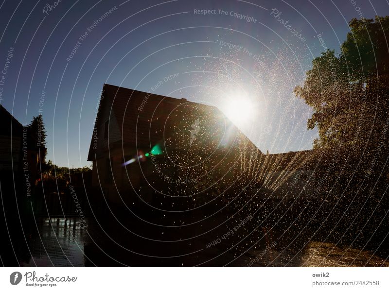 Sprinkleranlage Wasser Wassertropfen Wolkenloser Himmel Sonne Sommer Schönes Wetter Wärme Baum Dorf Skyline bevölkert Haus Einfamilienhaus glänzend leuchten