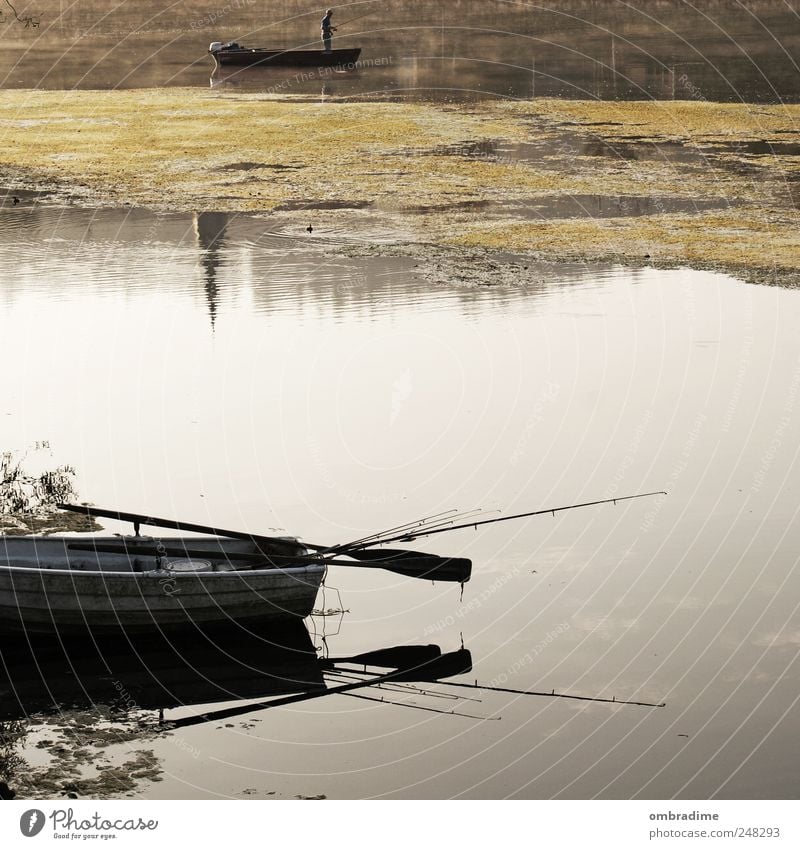 Herbsttage Umwelt Natur Landschaft Wasser Sonnenlicht Schönes Wetter Fluss natürlich Stimmung geduldig ruhig Wasserfahrzeug Fischer Nebelschleier Angelrute