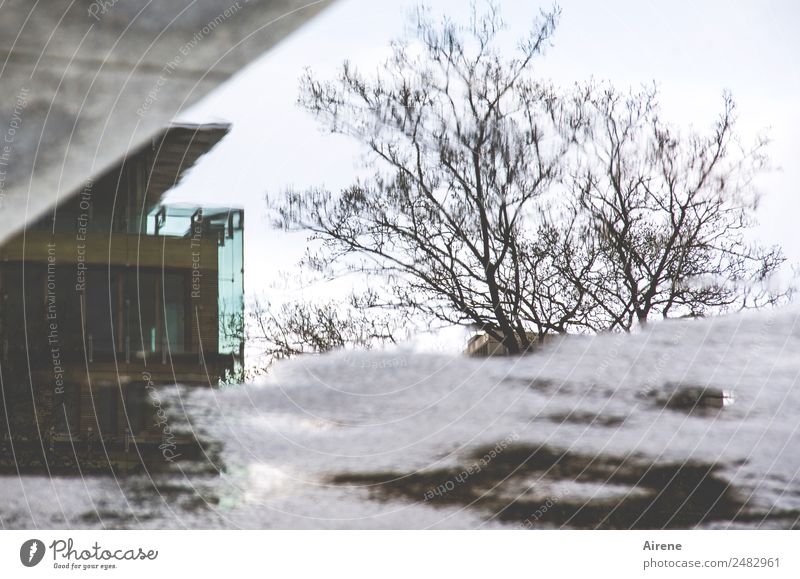 Alltagstristesse Wasser Winter schlechtes Wetter Baum Gebäude Bürogebäude Fassade Beton dunkel nass Stadt grau Unlust Verzweiflung Gedeckte Farben Außenaufnahme