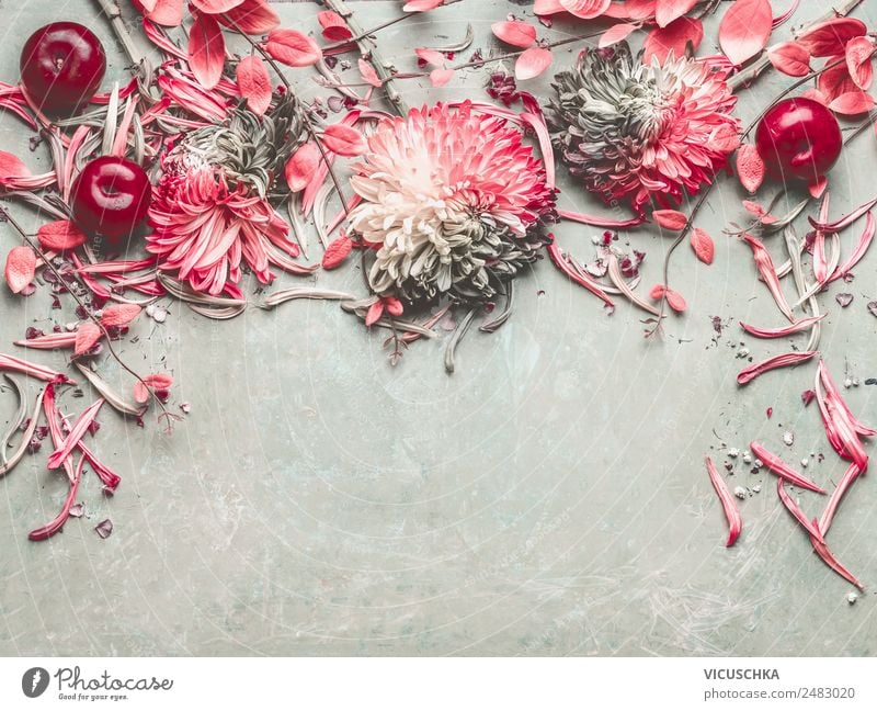 Sommer Obst und Blumen Stil Design Häusliches Leben Dekoration & Verzierung Schreibtisch Natur Pflanze Blatt Blüte Ornament Liebe Stillleben Hintergrundbild