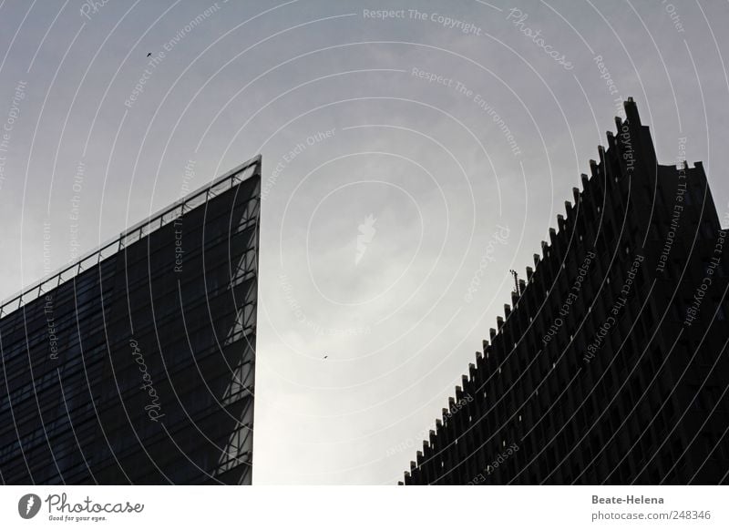 Eine Stadt mit Ecken und Kanten Ferien & Urlaub & Reisen Ausflug Städtereise Sommer Städtereise Berlin Haus Umwelt Himmel Wolkenloser Himmel Schönes Wetter