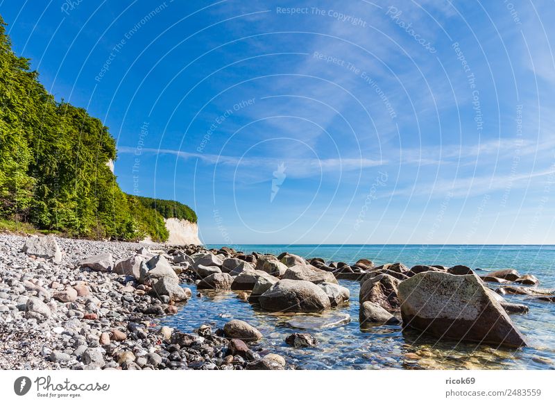 Die Ostseeküste auf der Insel Rügen Erholung Ferien & Urlaub & Reisen Tourismus Meer Natur Landschaft Wolken Baum Felsen Küste Sehenswürdigkeit Stein blau