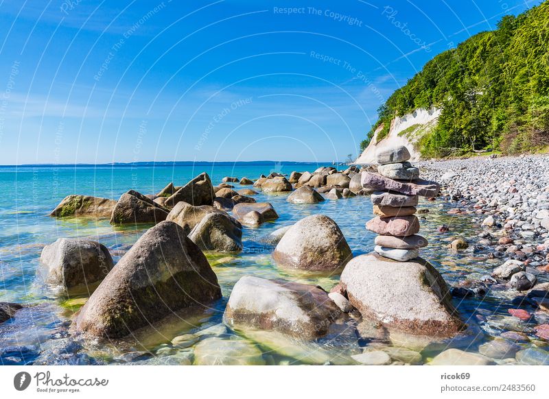 Die Ostseeküste auf der Insel Rügen Erholung Ferien & Urlaub & Reisen Tourismus Meer Natur Landschaft Wolken Baum Felsen Küste Sehenswürdigkeit Stein blau