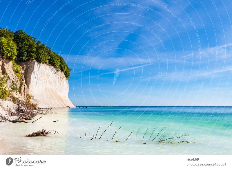 Die Ostseeküste auf der Insel Rügen Erholung Ferien & Urlaub & Reisen Tourismus Meer Natur Landschaft Wolken Baum Felsen Küste Sehenswürdigkeit Stein blau