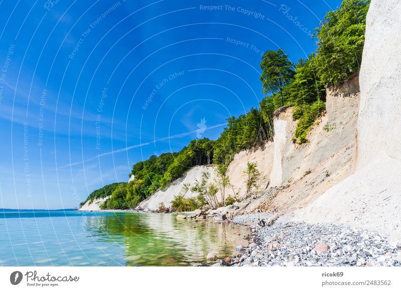 Die Ostseeküste auf der Insel Rügen Erholung Ferien & Urlaub & Reisen Tourismus Meer Natur Landschaft Wolken Baum Felsen Küste Sehenswürdigkeit Stein blau