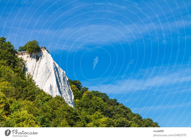 Der Königsstuhl auf der Insel Rügen Erholung Ferien & Urlaub & Reisen Tourismus Meer Natur Landschaft Wolken Baum Felsen Küste Ostsee Sehenswürdigkeit Stein